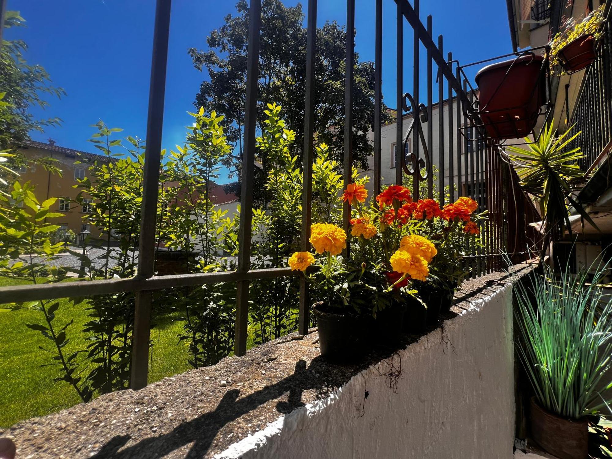Apartament Casa In Pelleria Lukka Zewnętrze zdjęcie